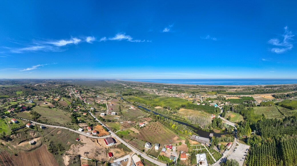 Acarlar floodplain forest is located in Sakarya province.It has endemic flora and fauna.
