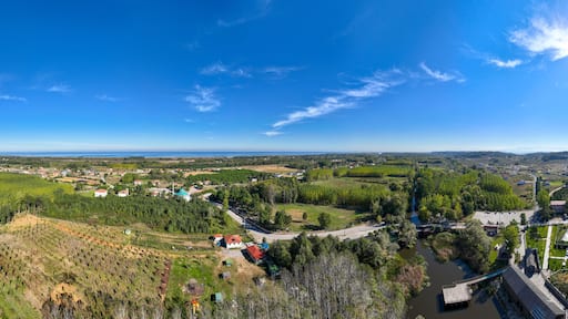 Acarlar floodplain forest is located in Sakarya province.It has endemic flora and fauna.
