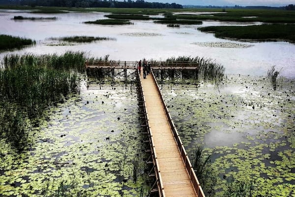 Efteni Lake is very close to Duzce city Center. The city is well-known for its natural beauties. The lake has a spectacular view in spring with the sharp colours and green lilies. It is a home for immigrant birds. There is a wooden watchman hut of 3 stories and people climb up to catch this beauty with cameras ;) enjoy D?zce!