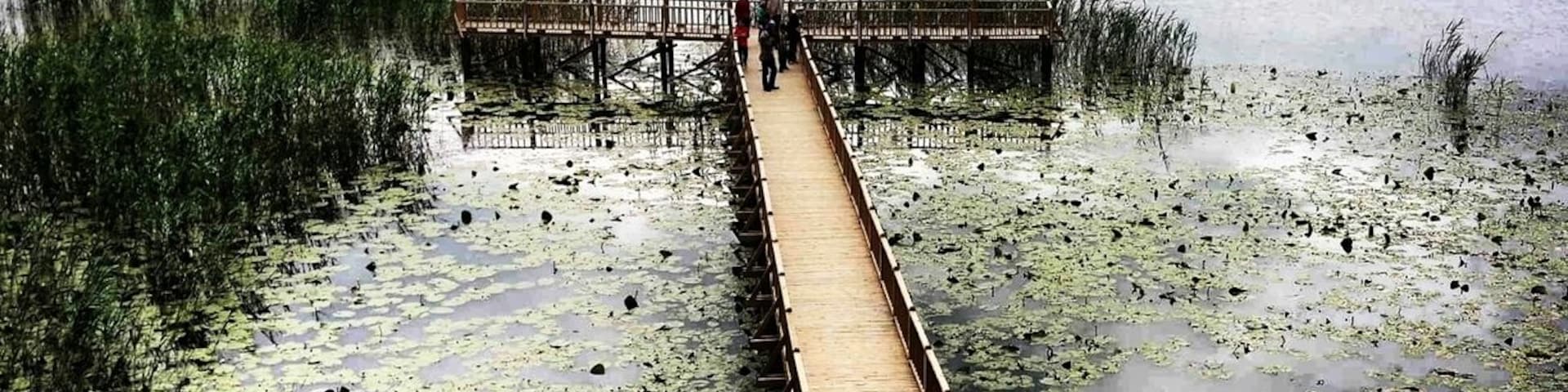 Efteni Lake is very close to Duzce city Center. The city is well-known for its natural beauties. The lake has a spectacular view in spring with the sharp colours and green lilies. It is a home for immigrant birds. There is a wooden watchman hut of 3 stories and people climb up to catch this beauty with cameras ;) enjoy D?zce!