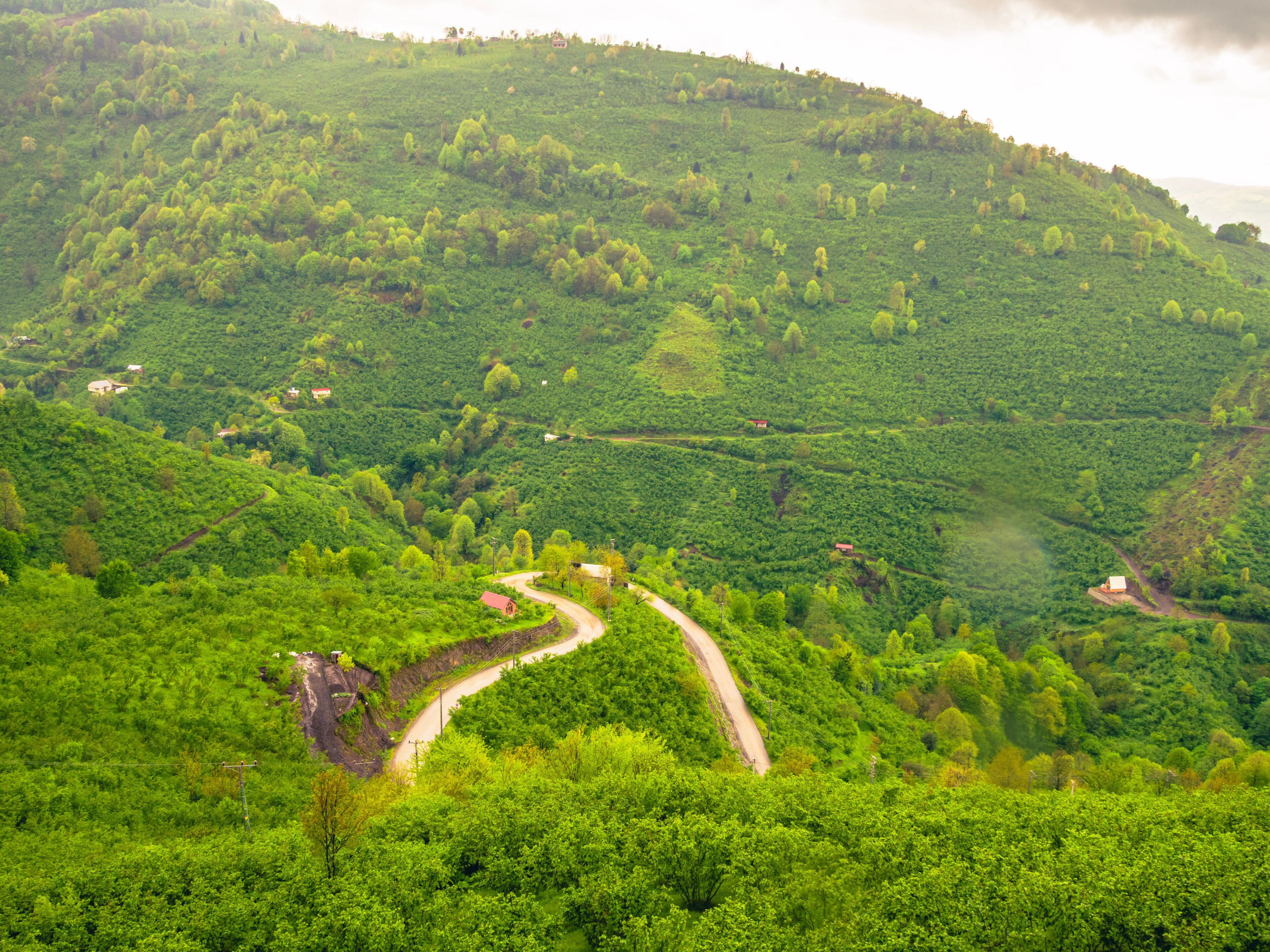 Gölyaka, green valley, Düzce, Turkey