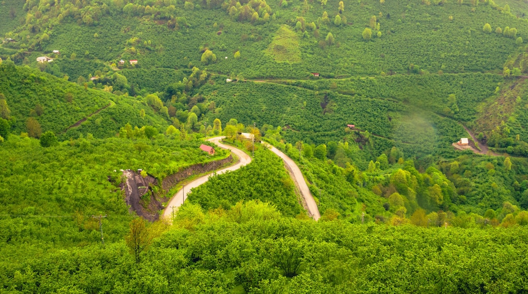 Gölyaka, green valley, Düzce, Turkey