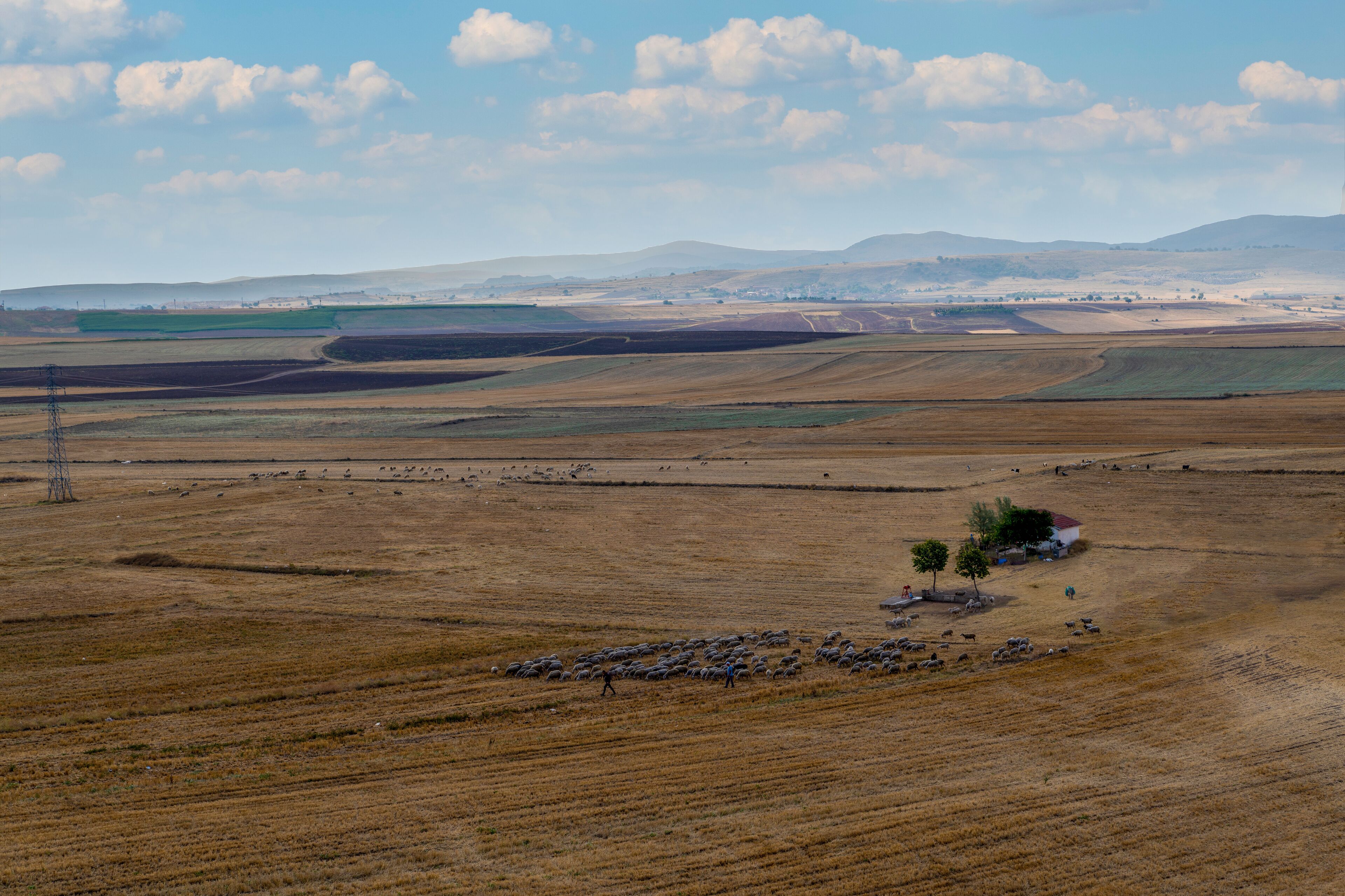 A vast agricultural landscape with rolling hills, a small cluster of trees, and a distant town.