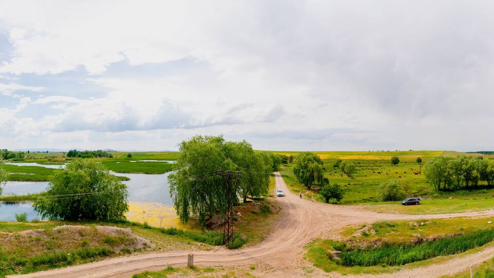 A rural landscape with a dirt road, a body of water, and green fields.