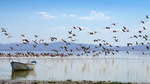Bird Paradise "kus cenneti" National Park in Balikesir - Turkey