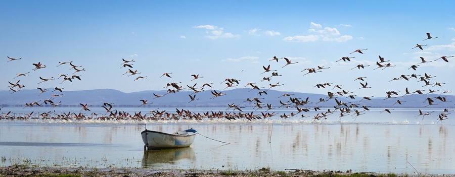 Bird Paradise "kus cenneti" National Park in Balikesir - Turkey