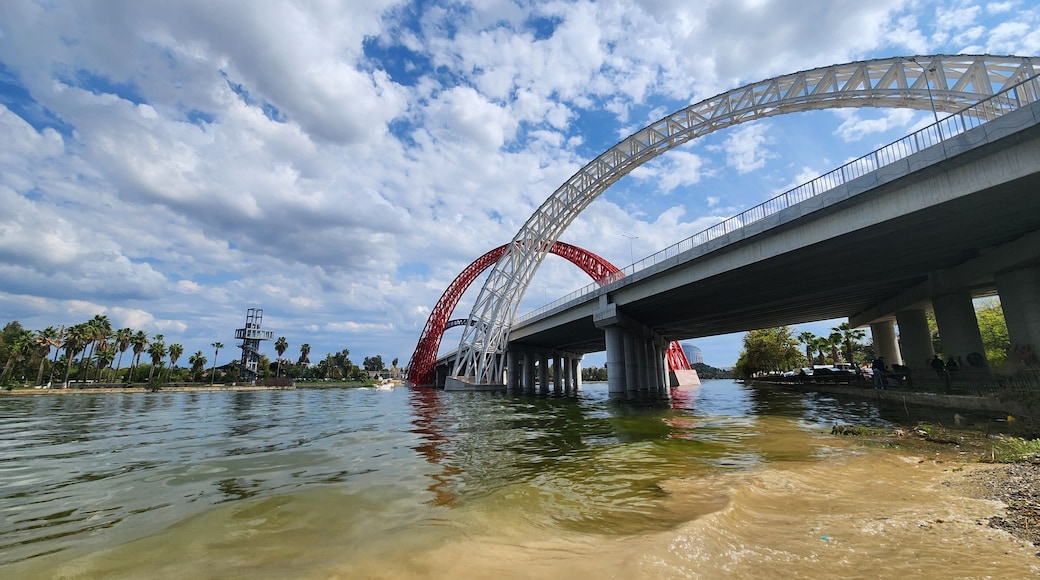 ์๋ ์ด๋ฅด