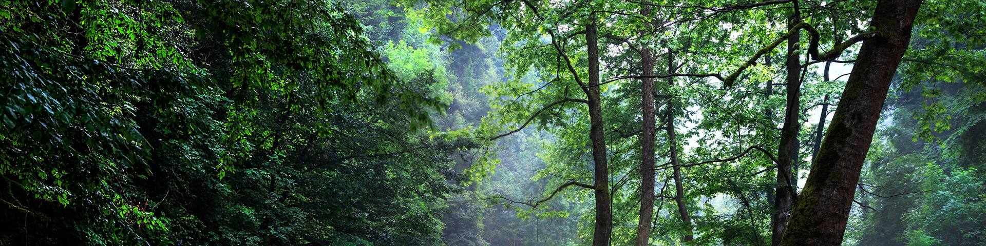 Mine Creek and Waterfall Kocaali Sakarya Turkey