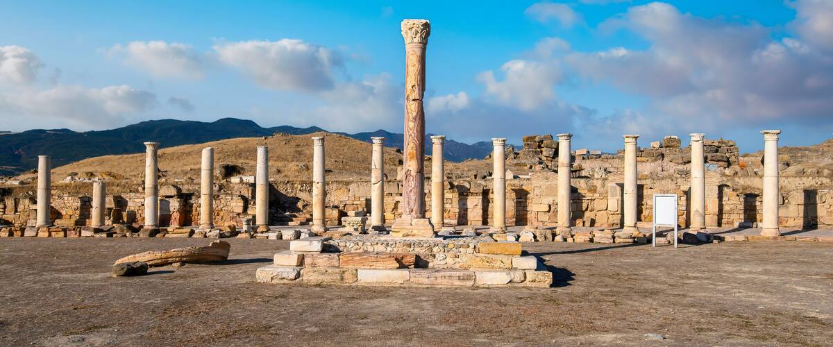 Ancient ruins with columns and stone structures against a mountainous backdrop.