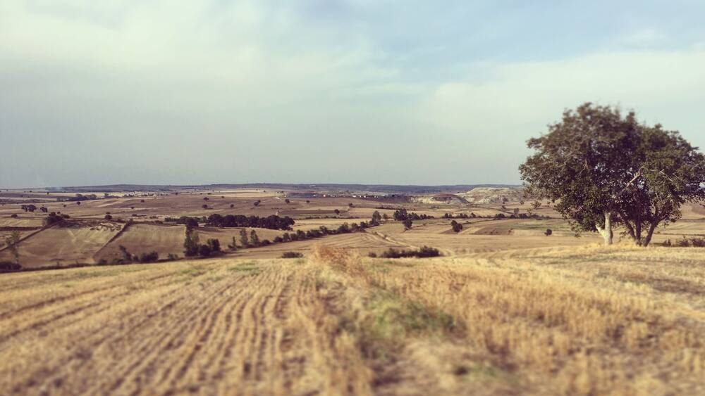 #tekirdag #turkey #landscape