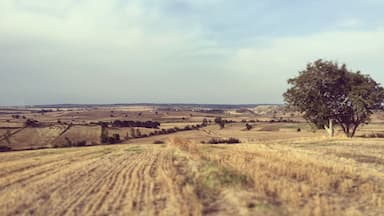 #tekirdag #turkey #landscape