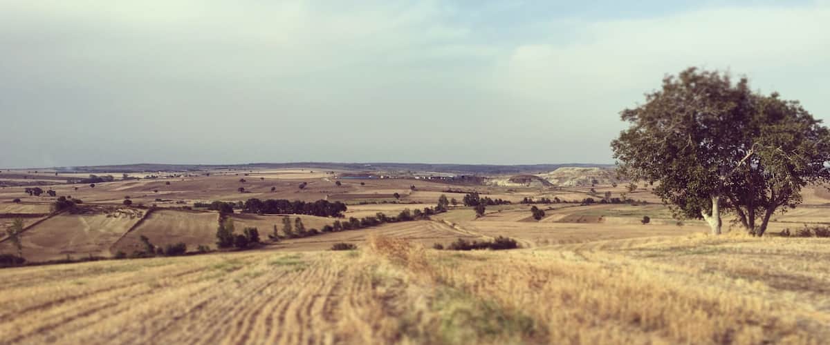 A rural landscape with rolling fields, a solitary tree, and distant hills under a cloudy sky.