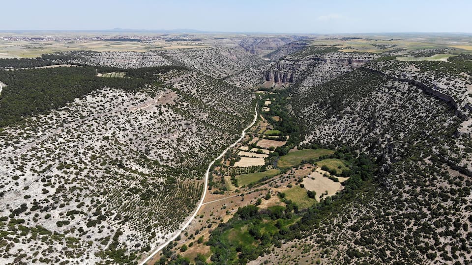 An aerial view of a valley with a winding road, scattered fields, and dense clusters of trees.