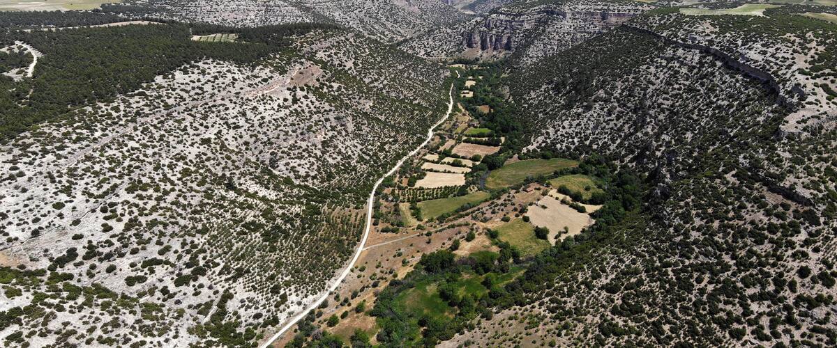 An aerial view of a valley with a winding road, scattered fields, and dense clusters of trees.