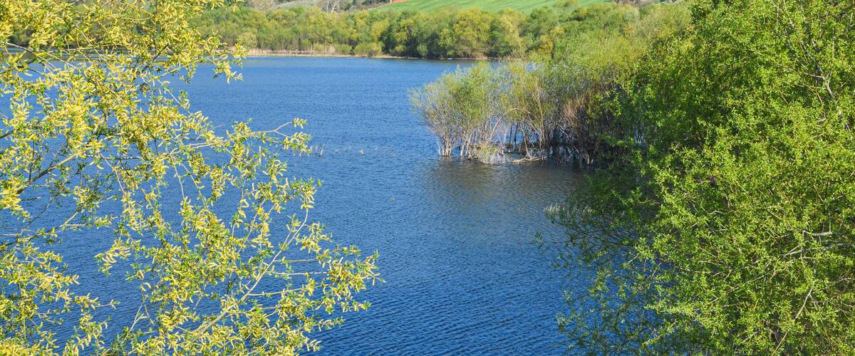 A lake surrounded by green hills and trees.