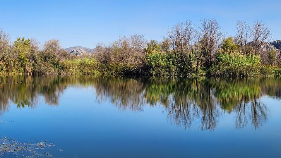 A calm river with clear reflections of trees and mountains.