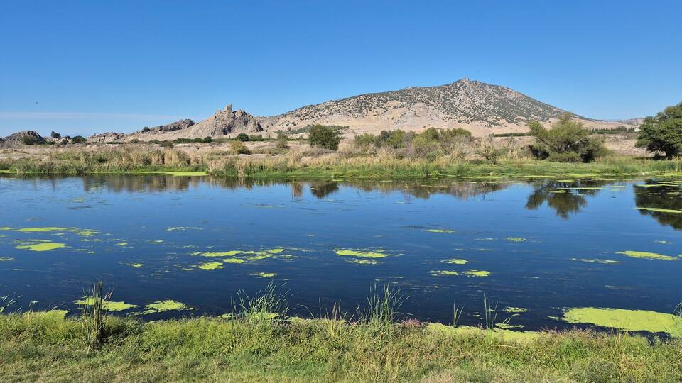 A calm lake with green algae, surrounded by grass and trees, with a mountain and ancient ruins in the background.