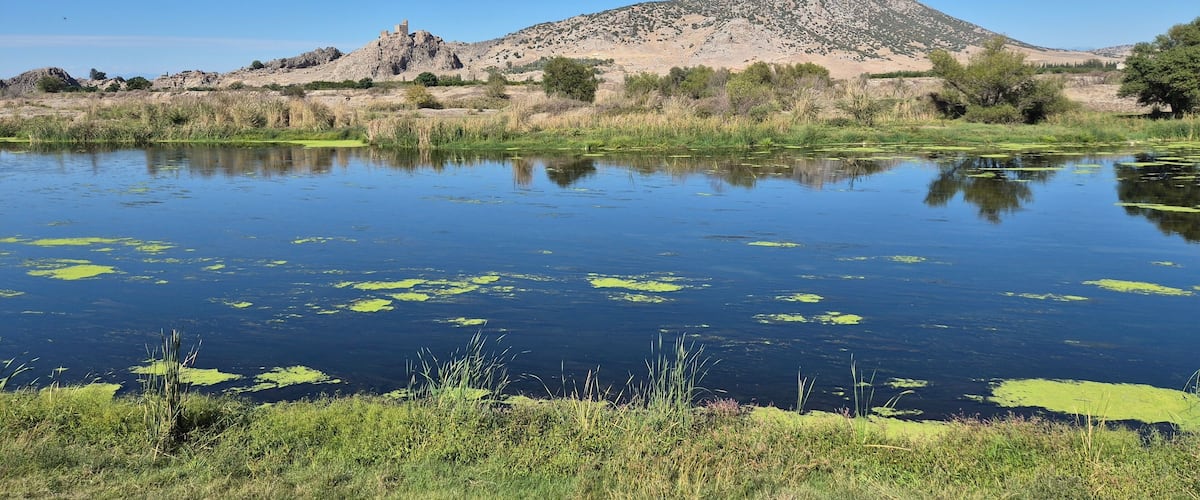 A calm lake with green algae, surrounded by grass and trees, with a mountain and ancient ruins in the background.