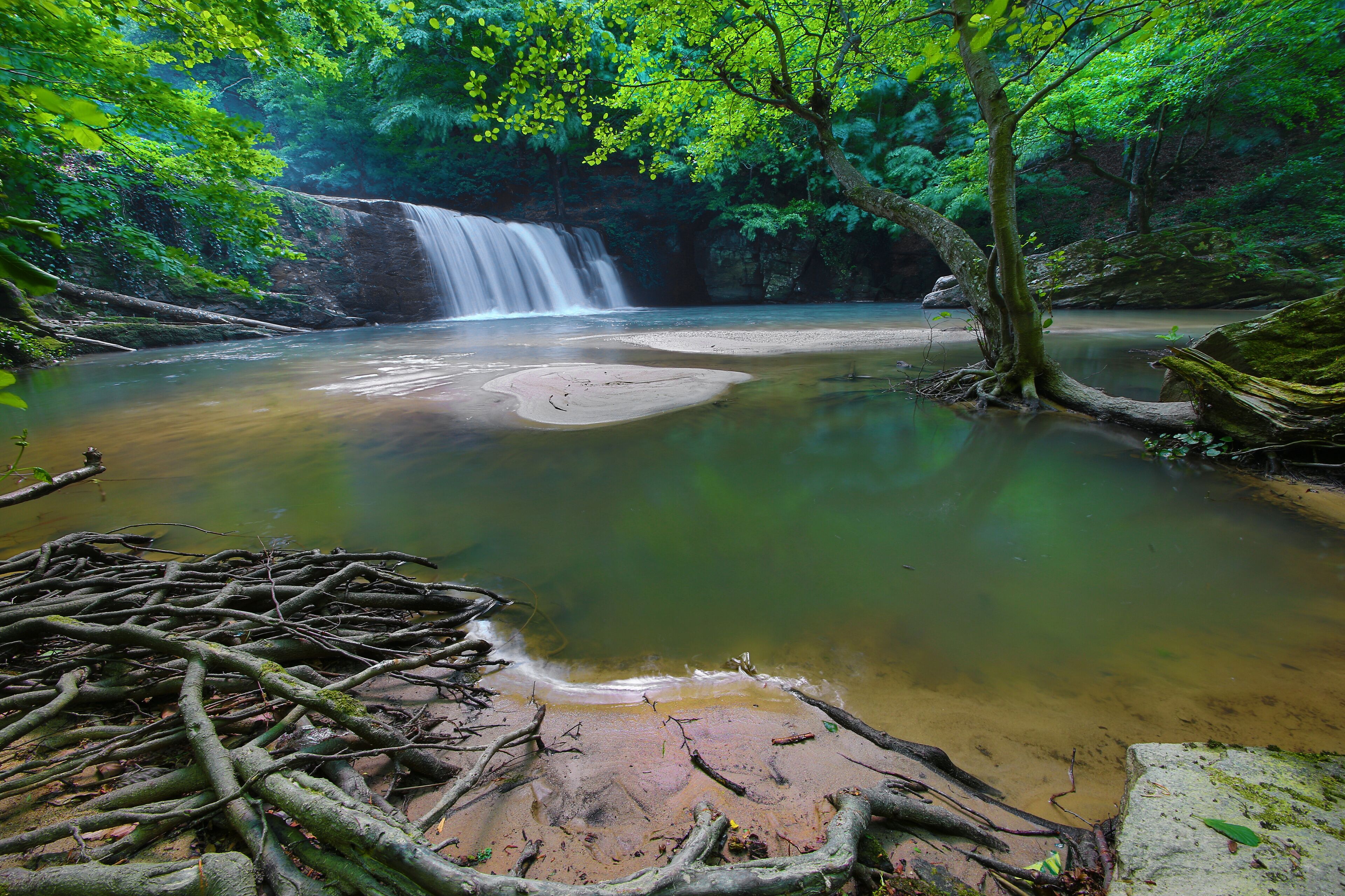 A waterfall in a forested area with clear water and surrounding greenery.