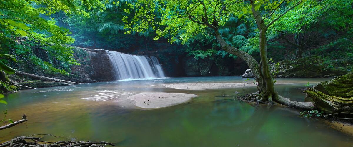 A waterfall in a forested area with clear water and surrounding greenery.