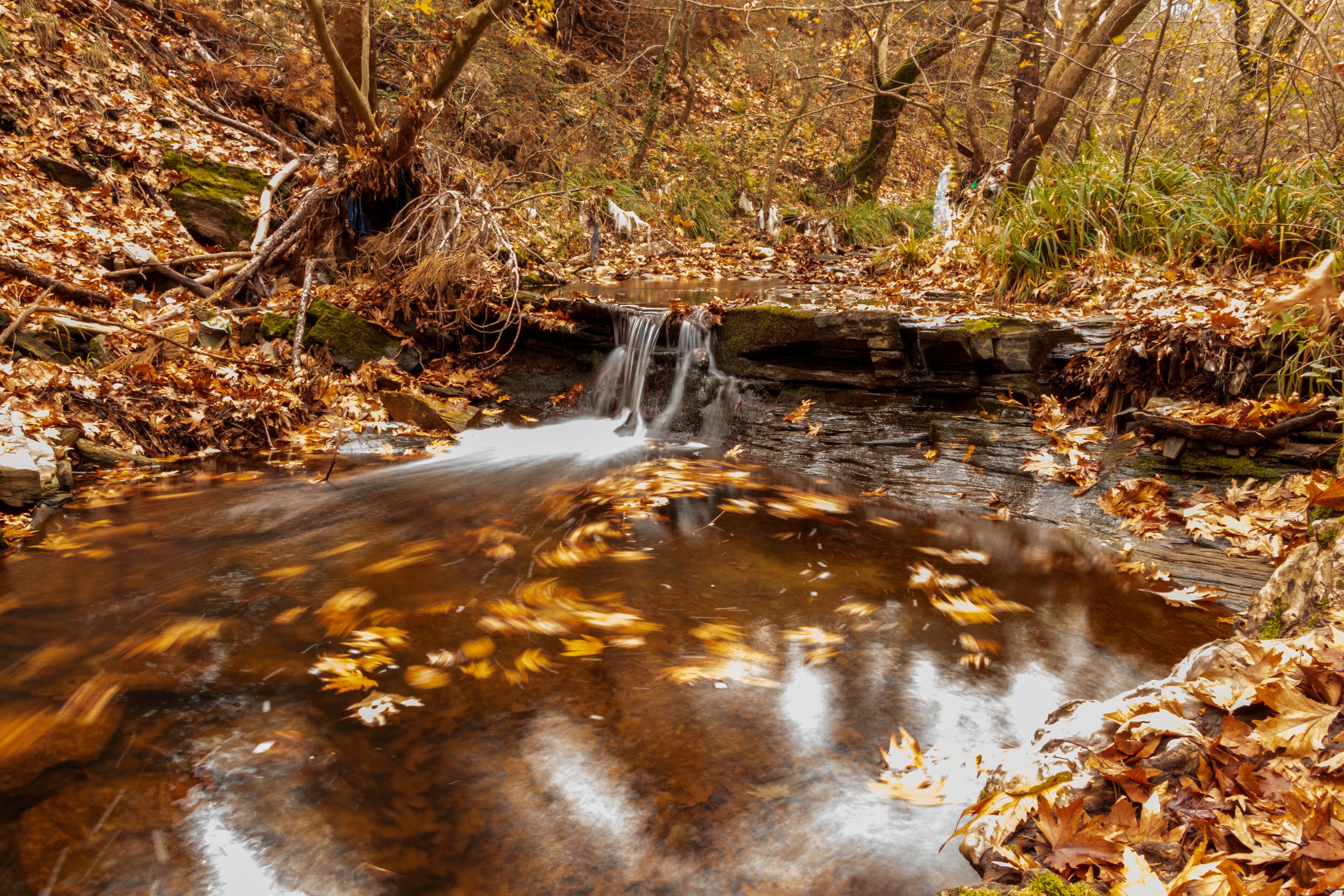 Autumn colors, orange season in Kemalpaşa district of Izmir.