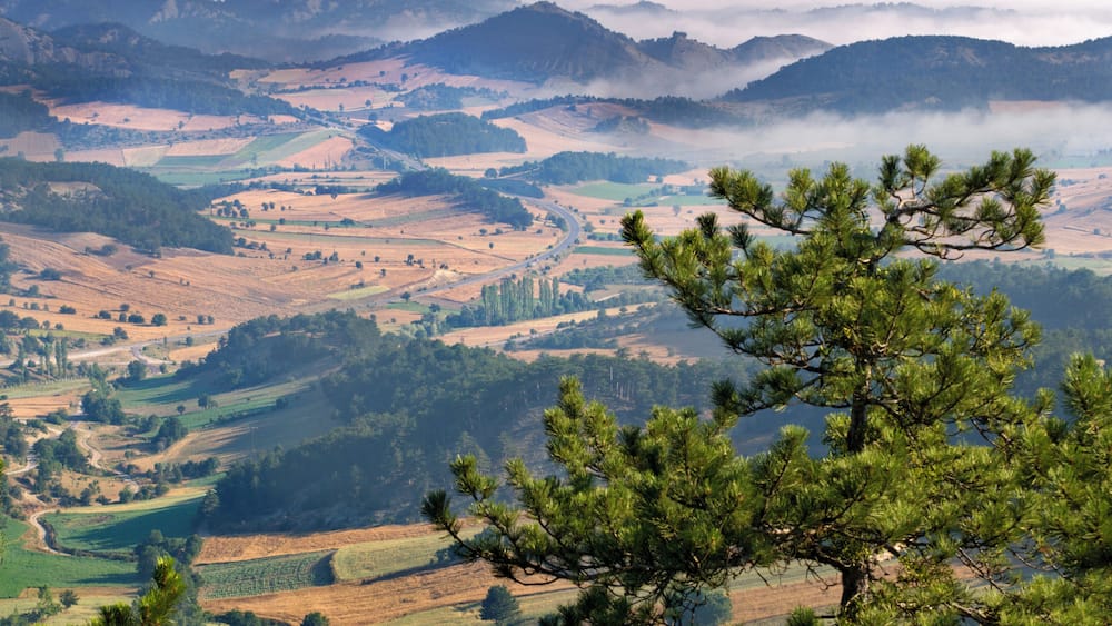 Foggy day in Akyazi near Adapazariin Western BlackSea Region.