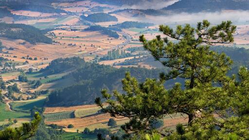 Foggy day in Akyazi near Adapazariin Western BlackSea Region.