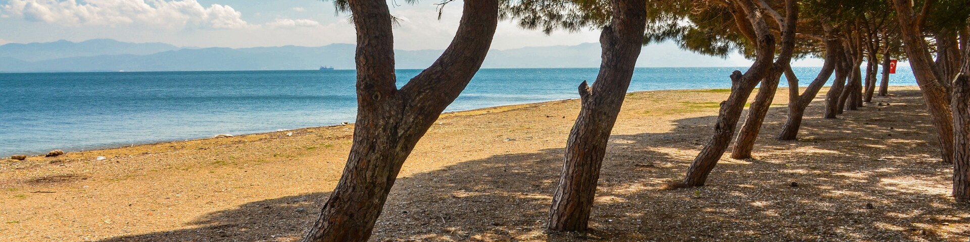 sand and pines on Çamlık Plaj scenic beach and Marmara sea near Kapakli (Yalova province, Turkey)