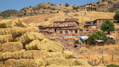straw bales and village houses. Çobandere village ( Şotik ) Arguvan, Malatya, Türkiye