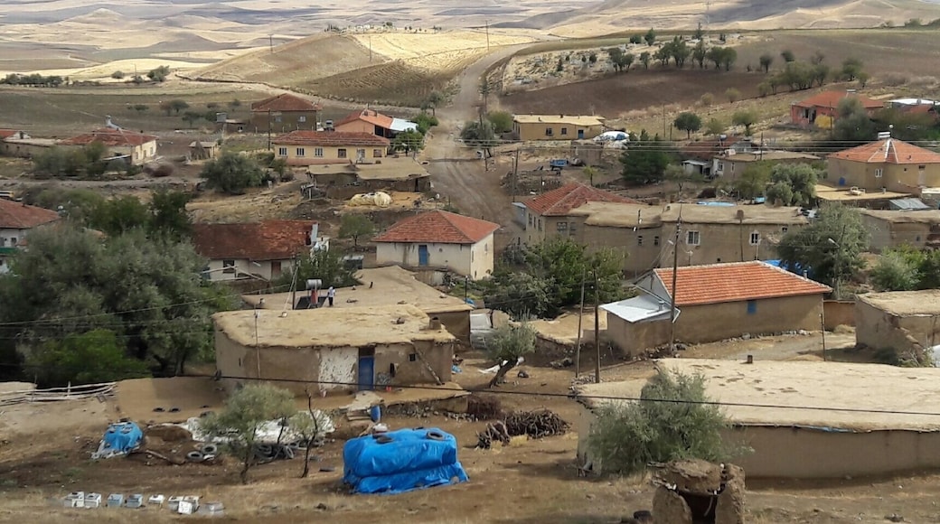 Köyüm, Arguvan, Malatya, Turkey
#village #rural #arguvan #malatya #turkey #nofilter #fotooftheday