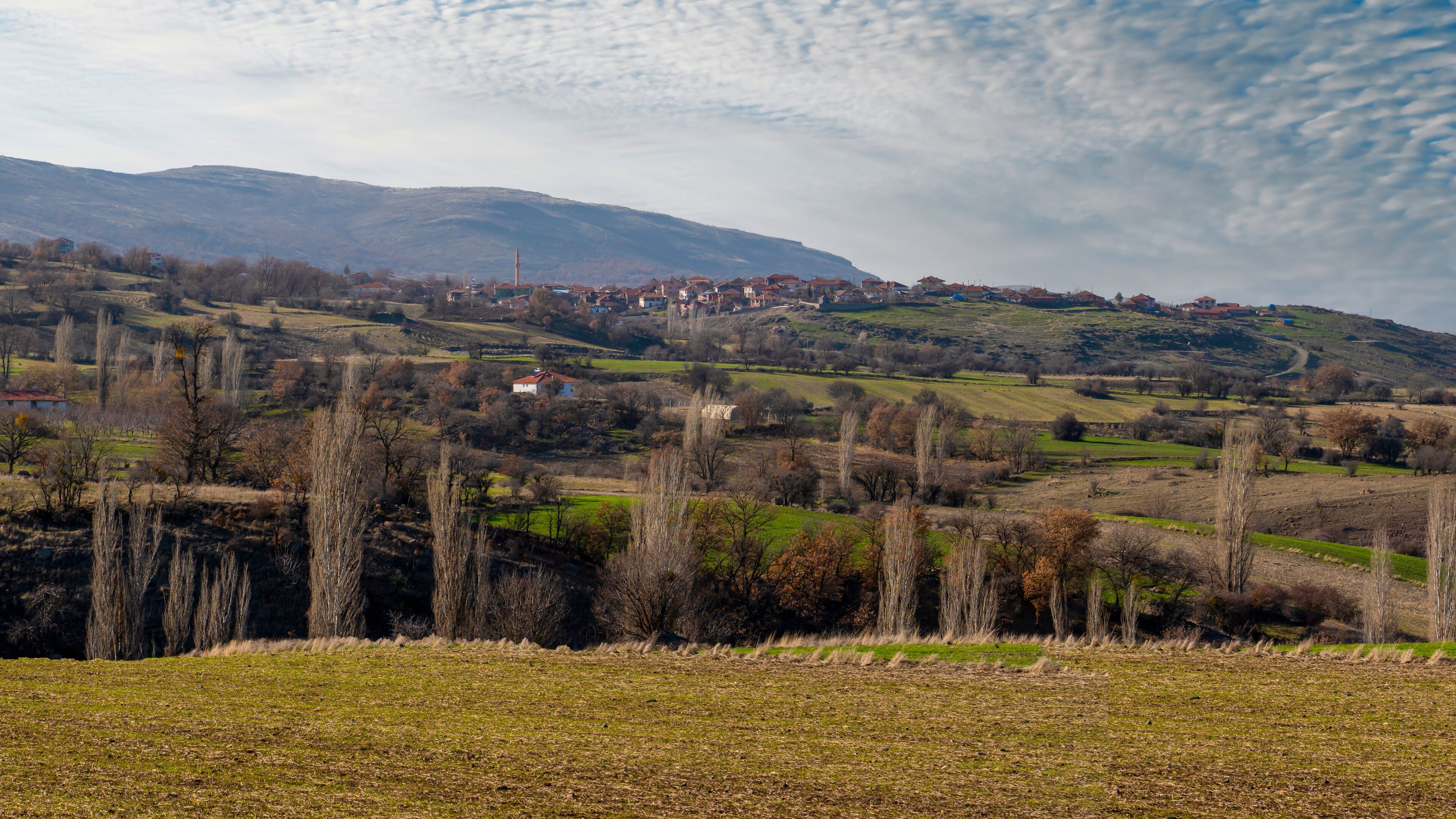 A rural landscape with rolling hills, scattered houses, and a prominent church spire.