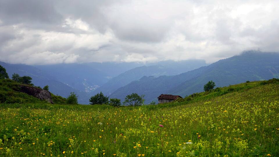 The Black Sea region in eastern Türkiye is famous for its high mountain plateaus, the most popular of which are the Uzungöl and Sultan Murat plateaus.01.08.2025, Trabzon,Türkiye