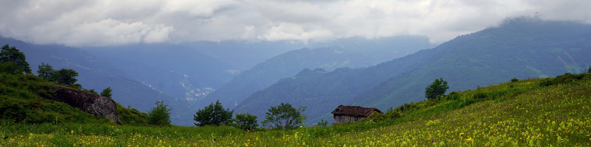 The Black Sea region in eastern Türkiye is famous for its high mountain plateaus, the most popular of which are the Uzungöl and Sultan Murat plateaus.01.08.2025, Trabzon,Türkiye