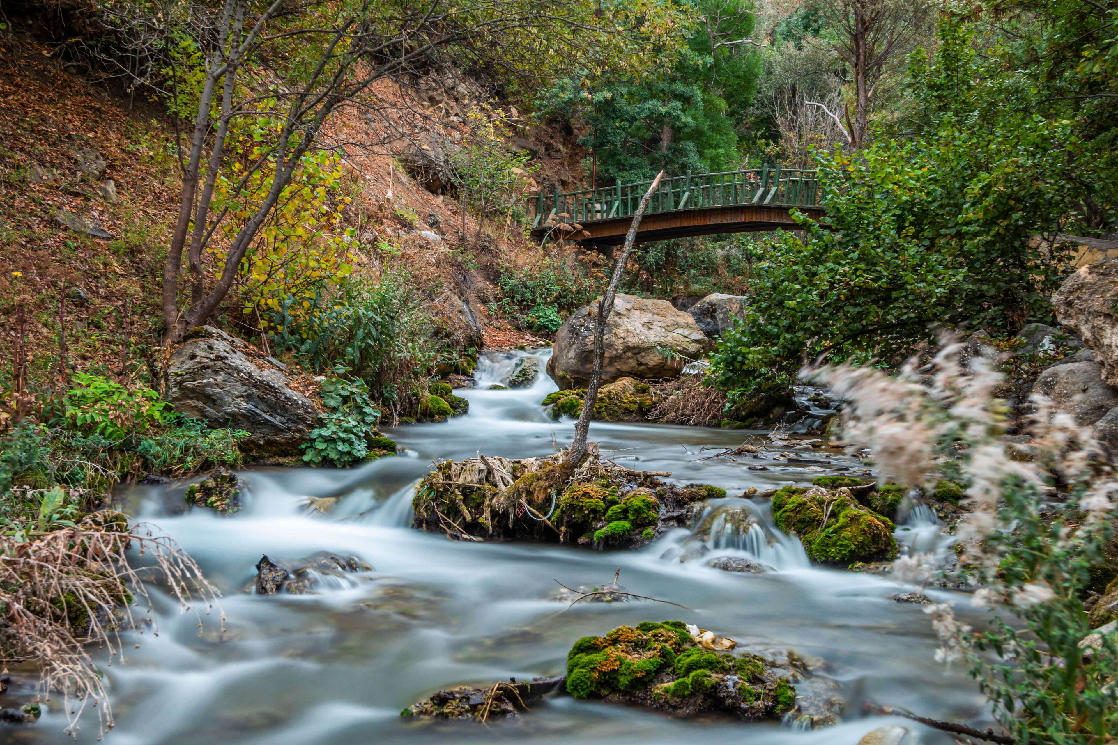 A flowing river with moss-covered rocks, a wooden bridge, and surrounding greenery.