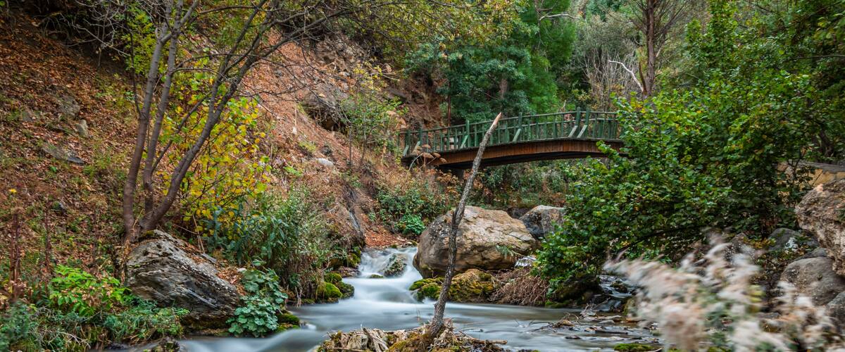 A flowing river with moss-covered rocks, a wooden bridge, and surrounding greenery.