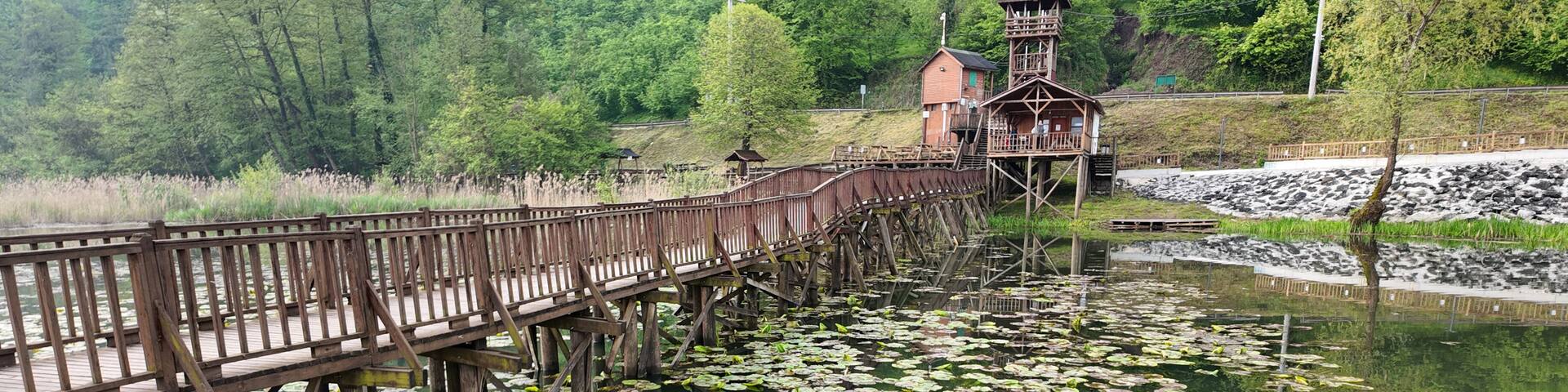 Aerial view of Efteni Lake in Duzce, Turkey