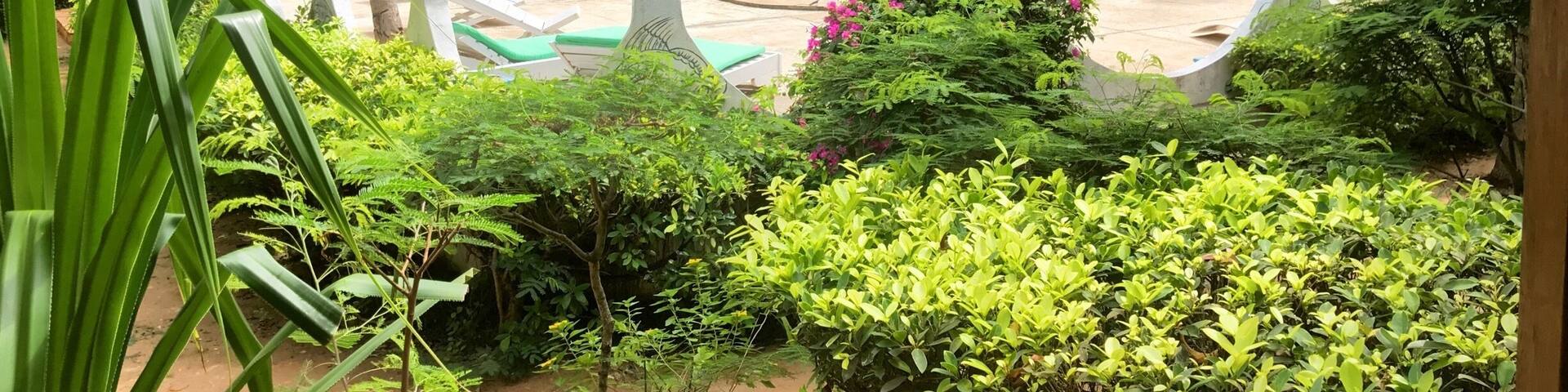 Very nice place, good food, good services. Calm and restful.