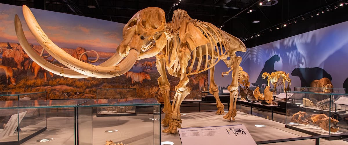 Royal Alberta Museum featuring heritage elements