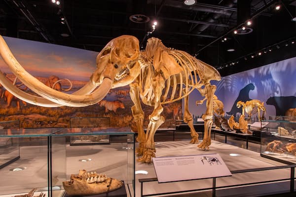 Royal Alberta Museum featuring heritage elements