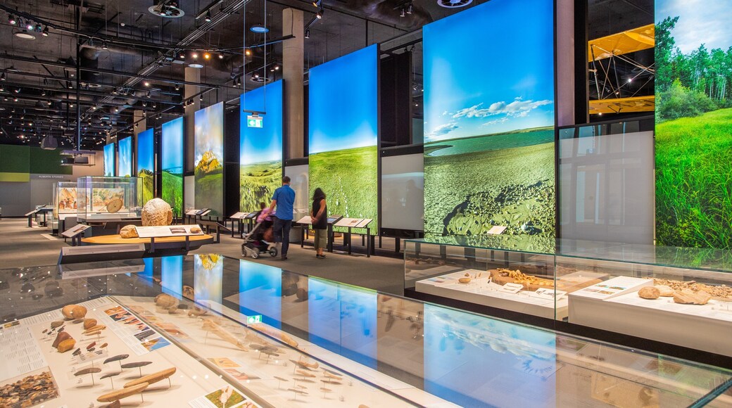 Downtown Edmonton showing interior views