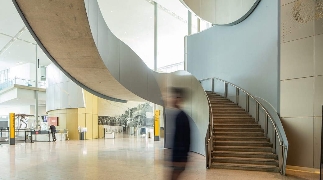Royal Alberta Museum featuring interior views