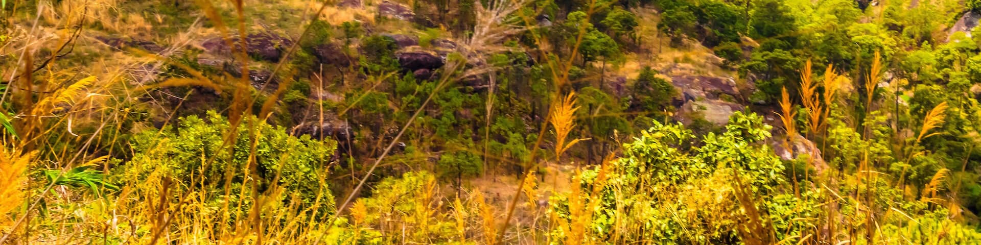 Mountains in the Sierra de Nanchititla in Tejupilco state of Mexico
