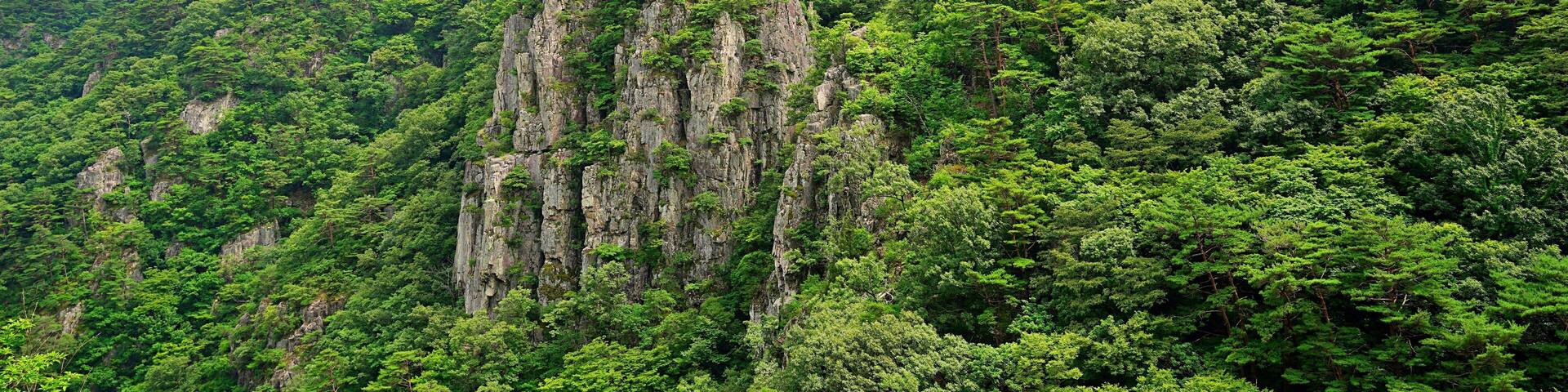 Beautiful summer scenery of Bogyeongsa Valley in Korea