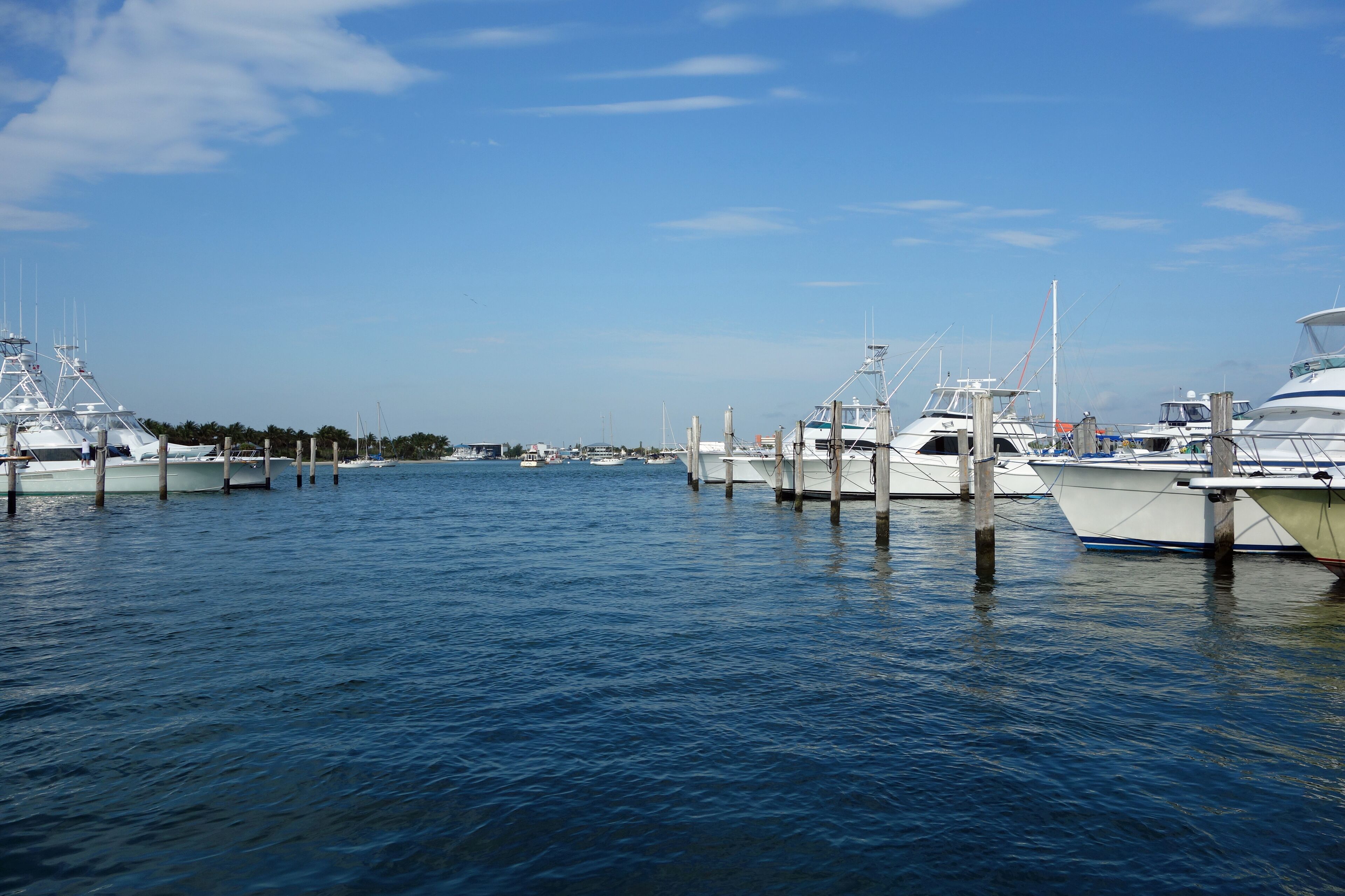 Fishing boats waiting at the marina