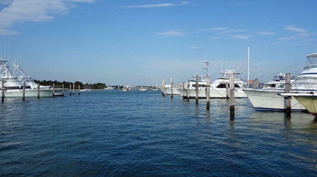 Fishing boats waiting at the marina