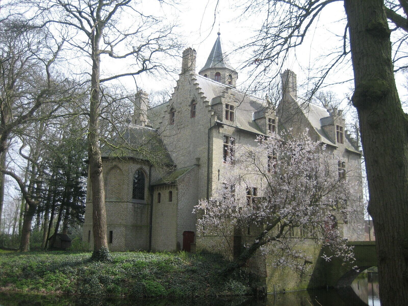 A historic building with a prominent tower, surrounded by trees and blooming flowers.