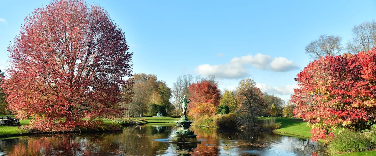 Un parque tranquilo con un estanque, árboles de colores otoñales y una estatua.