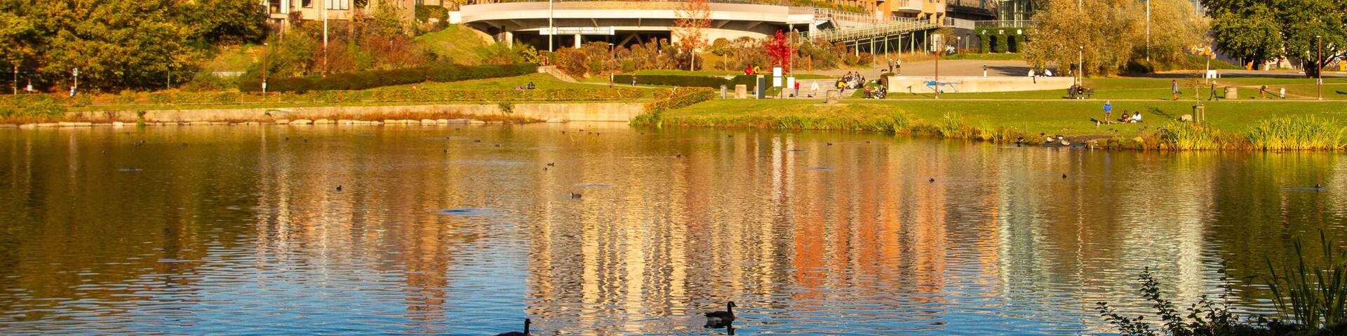 Belgum, View of Louvain-La Neuve with the Aula Magna from the lake in autumn