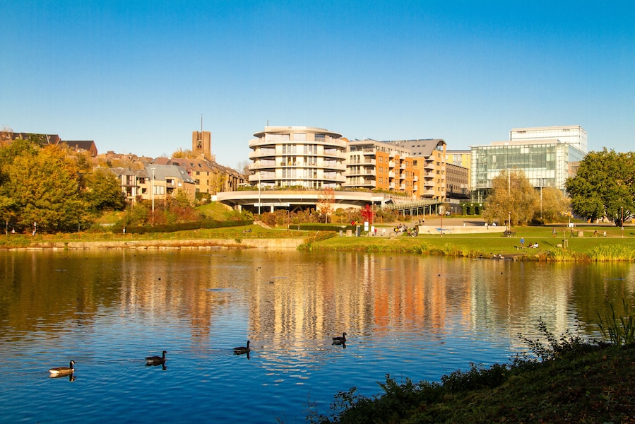 Un lago con patos, rodeado de edificios y árboles.