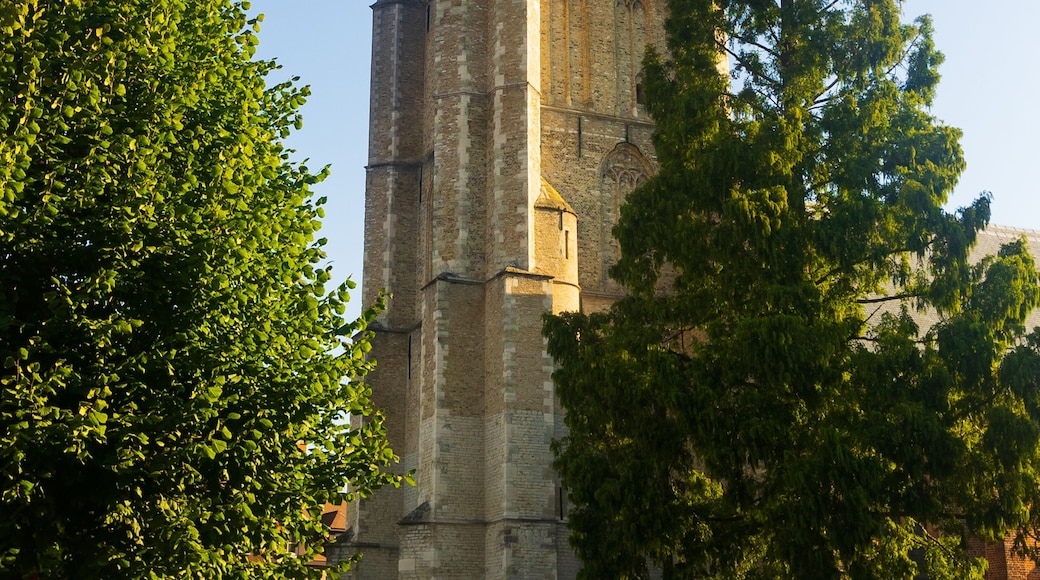 A historic stone tower with a clock, surrounded by lush green trees and a clear blue sky.